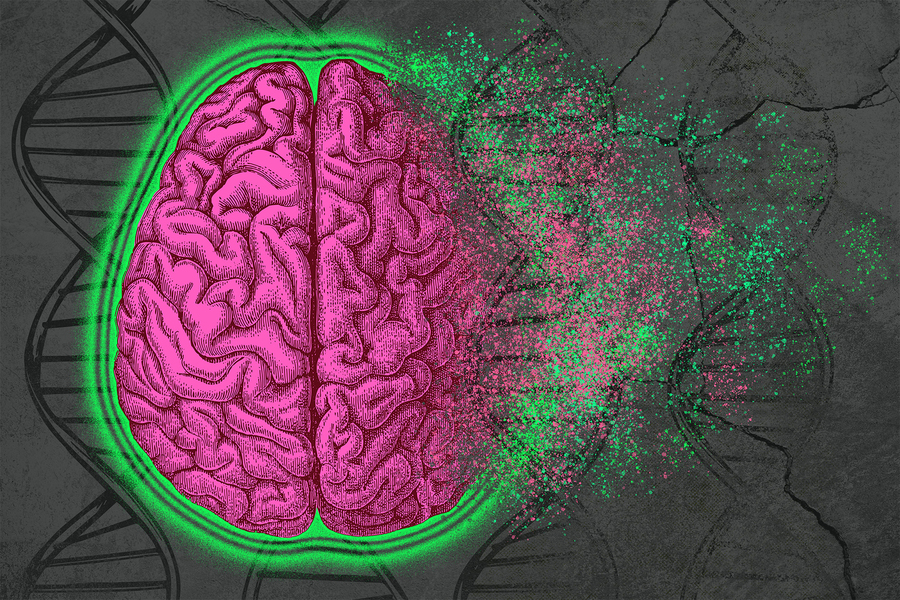 In hopes of discovering new targets for potential Alzheimer’s treatments, MIT researchers have performed the broadest analysis yet of the genomic, epigenomic, and transcriptomic changes that occur in every cell type in the brains of Alzheimer’s patients (Credits: Christine Daniloff and José-Luis Olivares, MIT; iStock).