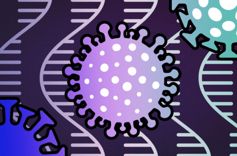 SARS-CoV-2 genome 