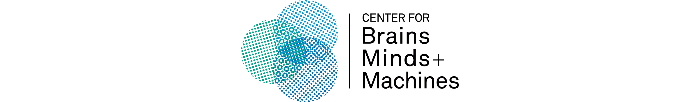 The Center for Brains, Minds and Machines logo